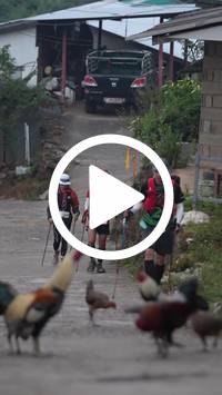 BIB:  <button type="button" onclick="openModal(27611069)" class="btn btn-primary btn-sm float-right" data-toggle="modal" data-target=".modal-high-quality">
                <i class="fa fa-download"></i> Download
                </button>